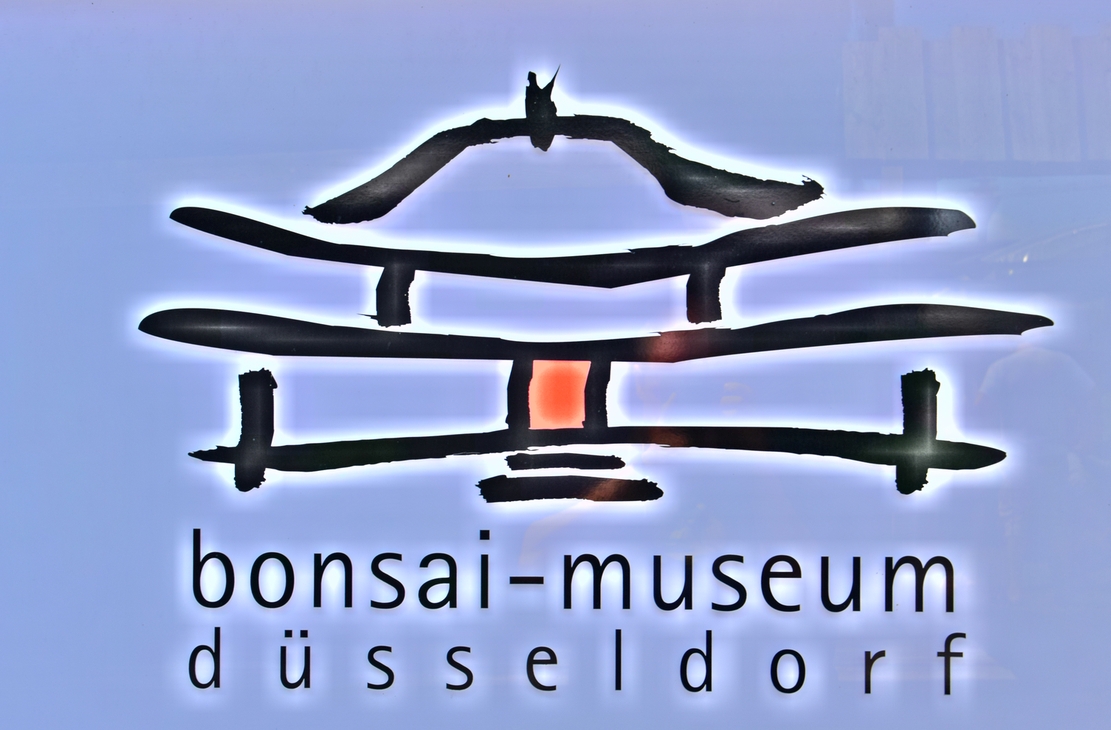 EUK @ Bonsai museum Dusseldorf 26-07-2015 000b